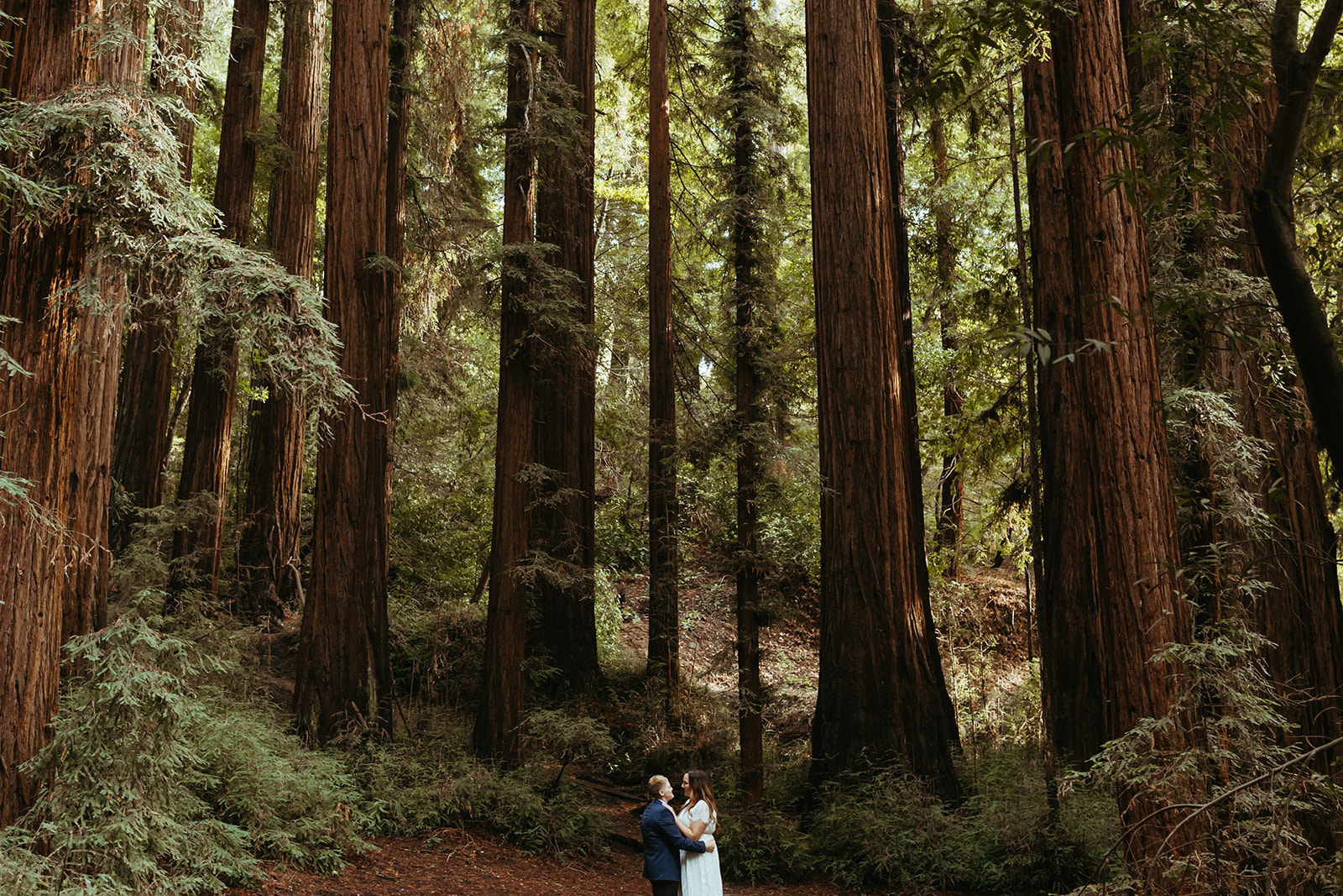 Redwood National Park elopement photos