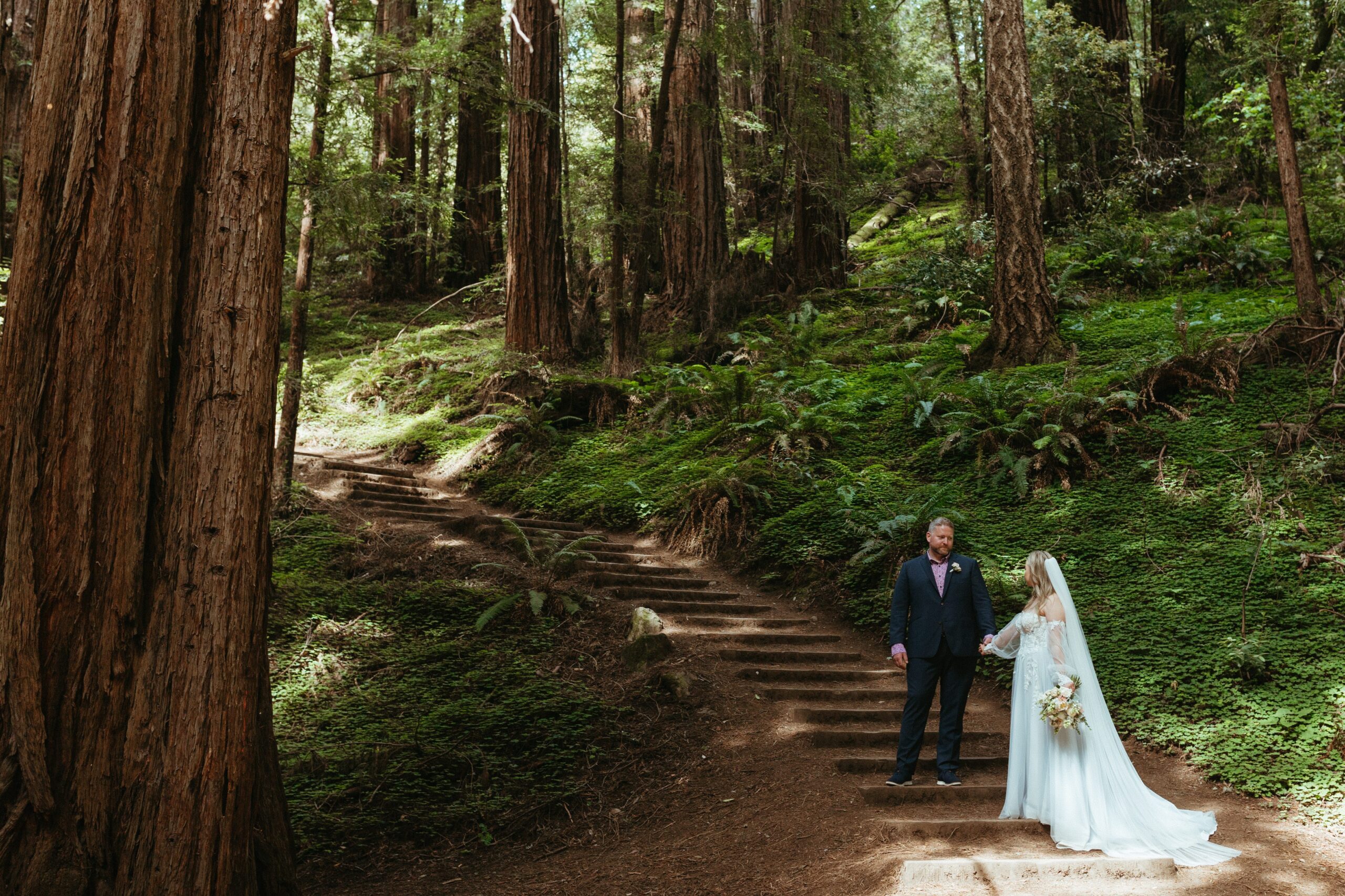 redwood national park elopement muir woods