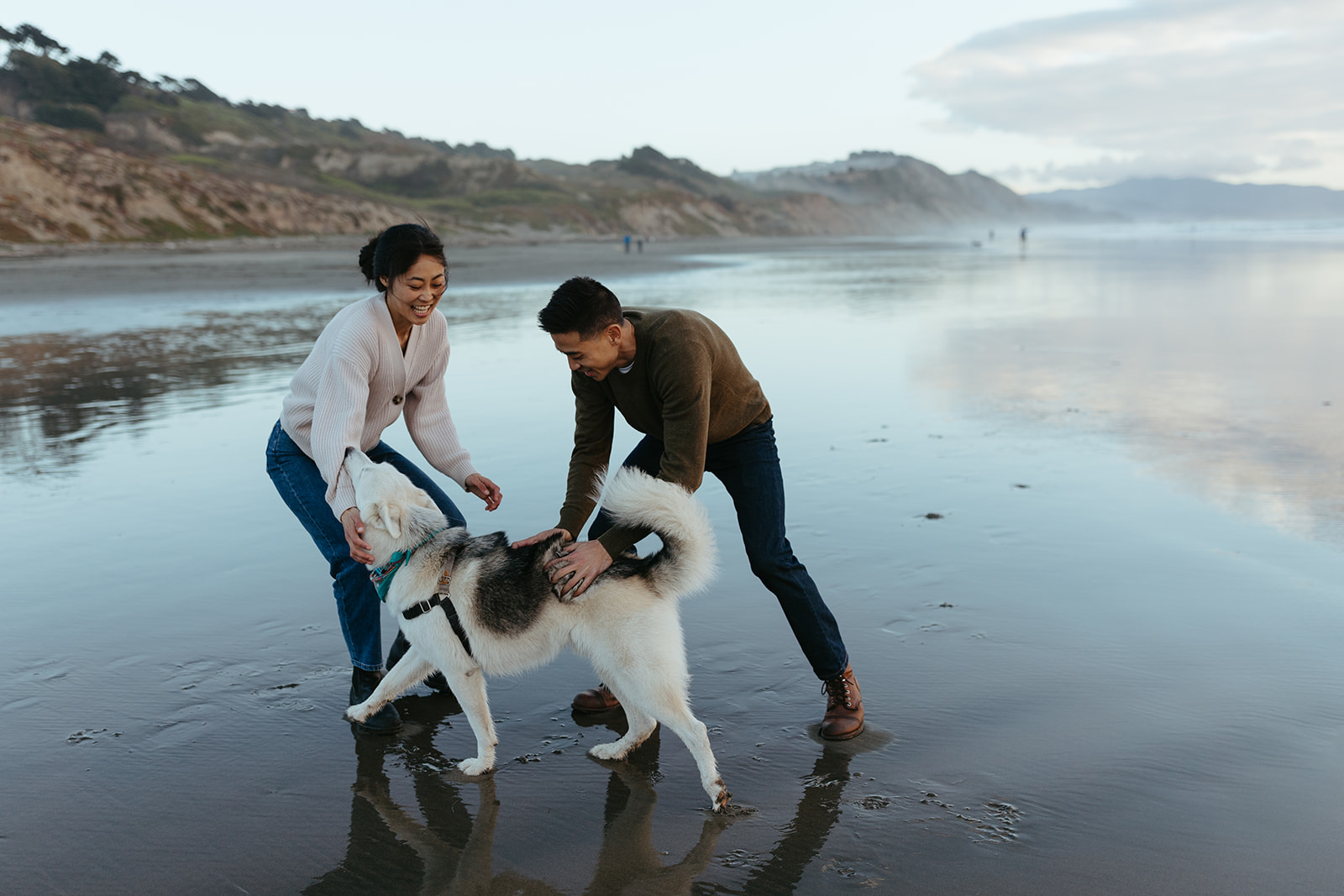 beach engagement photos with your dog