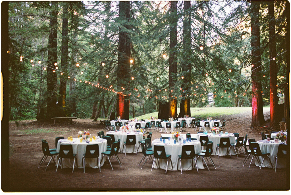 Forest Wedding reception